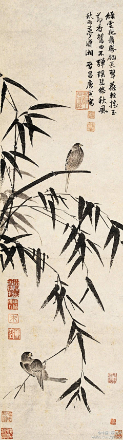 爱吃波板糖采集到国画  竹