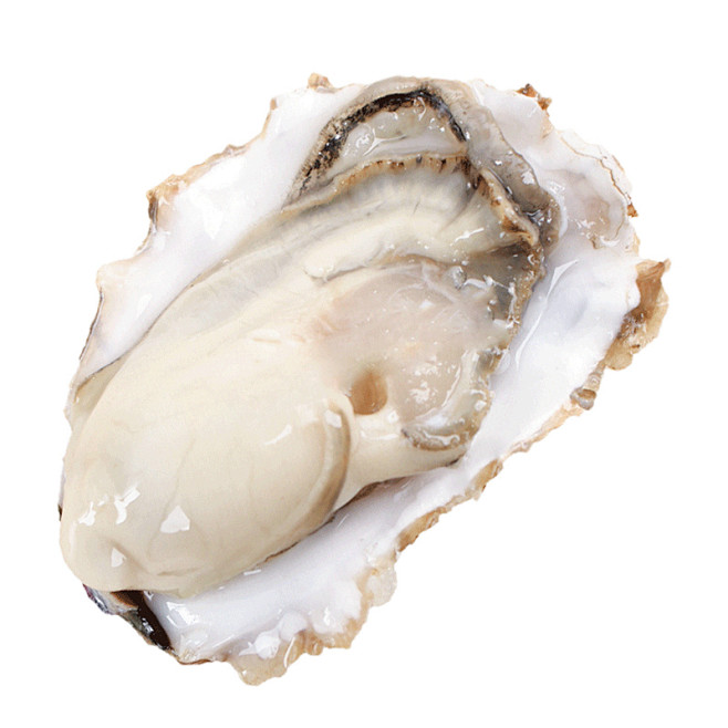 乳山生蚝鲜活一箱10斤即食特大牡蛎新鲜5...