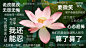 办公电脑桌面分区壁纸