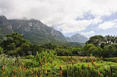 青山绿水蓝天