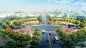 于洪新城道路绿化景观设计1