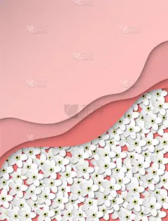 背景,文字,勿忘我,矢量,白色,线条,彩色图片,珊瑚,式样,花