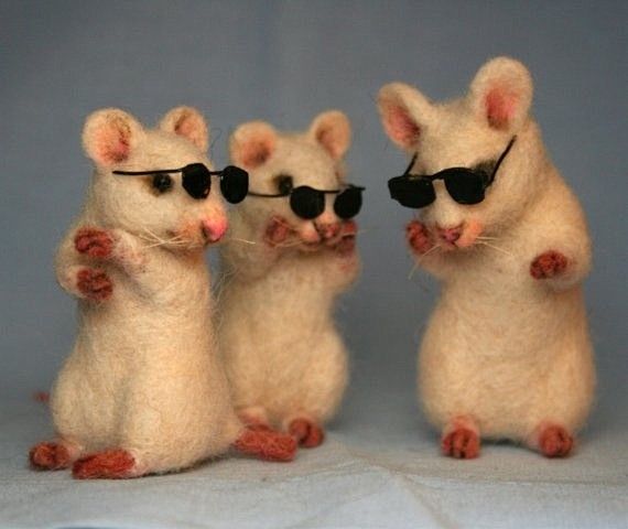 3 blind mice!  http:...