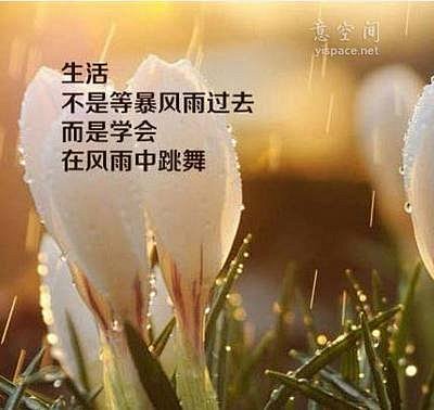 充满正能量的十五张图片:永远不要停止相信...