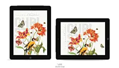 插画风格白葡萄酒包装设计 飞特网 酒包装设计