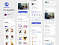 宠物店美容兽医收养一条龙APP界面UI素材 Meow Paws - Pet App UI Kit