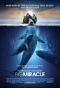 30部2012年上映电影海报欣赏