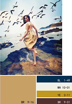 柠檬霓虹果冻采集到色彩方案