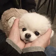 女头、手机壁纸_美女图片素材_jiajia美工啊的画板-花瓣网-413