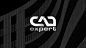 CAD expert logo design