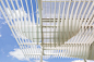 Westmoreland公园凉亭，美国达拉斯 / Murray Legge Architecture : 荫蔽在起伏的云层之下