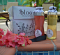 Bloom Tea - packaging