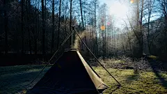 森林景观动态壁纸分享给大家，唯美的环境，烘托出宁静的氛围，更好的释放压力，喜欢的来下载吧~https://www.macw.com/desk/1414.html