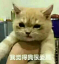 首页 - 知乎