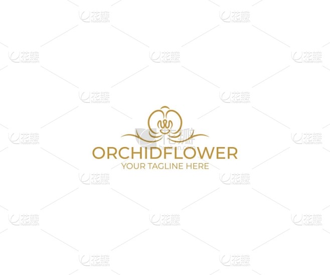 兰花花徽标模板。蝴蝶兰矢量设计。花卉插图