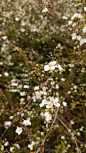 IMG_20240316_114720