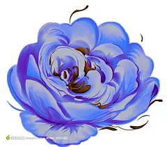 漂亮蓝色妖姬花紫色花矢量图片素材-高清免费设计图片素材下载，现在加入素材公社即可参与传素材送现金活动
