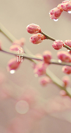 荟宇采集到24