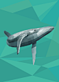 Humpback Whale : Combining geometric shapes to create contour and form. Subject: Humpback Whale