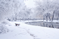 冬季大雪风景图片摄影图