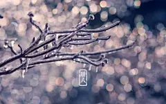 腊八节桌面壁纸高清素材 设计图片 免费下载 页面网页 平面电商 创意素材