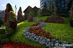 小猫eat黄瓜采集到待归类采集
