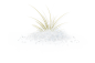 草