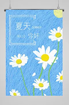 夏天你好菊花插画