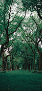 #摄影（风景-山水-建筑）#