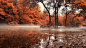 Google+
