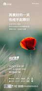 6月24