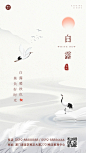 白露节气祝福教育行业中国风节气问候手机海报