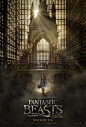 Extra Large Movie Poster Image for Fantastic Beasts and Where to Find Them