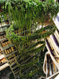 EmQuartier, Bangkok | Vertical Garden Patrick Blanc