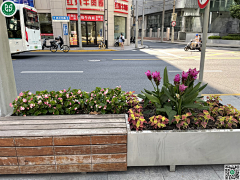 嗨皮兔采集到D 景观示意图-花坛、花箱、树池