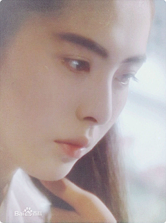 展翎翛采集到陌上颜如玉
