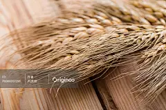 五谷杂粮#食物# #美食# #食品# #薯片# #烘焙# #白背景# #下午茶# #酥脆食物# #小吃# #甜点# #甜品# #棉花糖# #巧克力# #甜品店菜单设计素材# #美食# #西餐# #早午餐# #brunch# #班尼迪蛋# #egg benedict# #西餐摆盘设计# #西餐菜单设计# #草莓挞# #水果挞# #下午茶# #甜点造型设计# #柠檬挞# #卤味# #卤煮# #小吃# #汤圆# #元宵# #饺子# #食材# #香料# #无花果# #煲汤# #猪蹄# #菜单背景图# #蒸饺# #