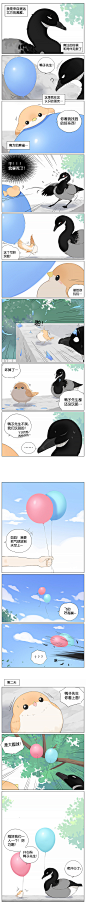 最近画的，南方的鸟和北方的鸟合集第二弹，最后三条是最新更新。 ​​​​