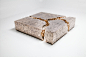 bu_01144_fragmented crack_2_02.jpg