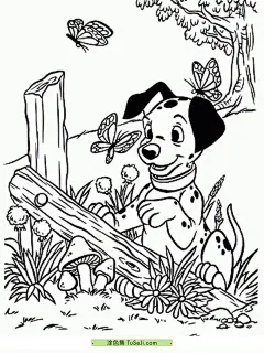 13张动画片《101忠狗》顽皮有趣的斑点狗儿童涂色图片！ | 涂色集 : 当一只小狗子出生的时候，它有着乌黑的皮毛和一双明亮的眼睛。它非常可爱，每个人都喜欢它。它的名字是小黑。小黑住在一个农场里，有许多其他动物和孩子们一起玩耍。每天早晨，小黑都会起床，大口大口地吃早餐。然后，它会和小鸡儿玩捉迷藏，和小猪儿一起在泥 13张动画片《101忠狗》顽皮有趣的斑点狗儿童涂色图片！