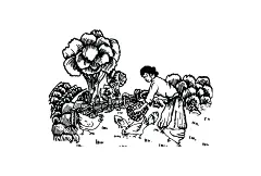 小树苗农家土鸡蛋包装设计-古田路9号