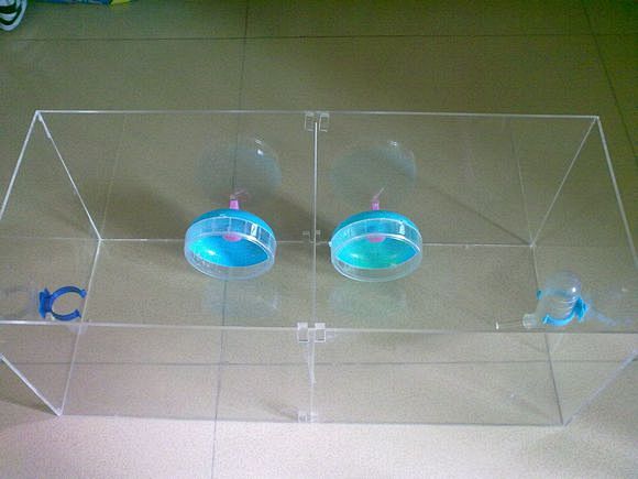 【DIY】双层豪华相亲笼_仓鼠吧_百度贴...