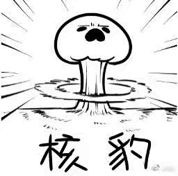 海豹表情包