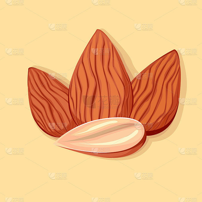 杏仁矢量图