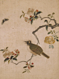 织绣分享｜故宫藏清代顾绣花鸟草虫图册