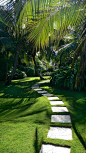 modern architecture - craig reynolds landscape architect - carribbean garden - exterior view - tropical garden: 