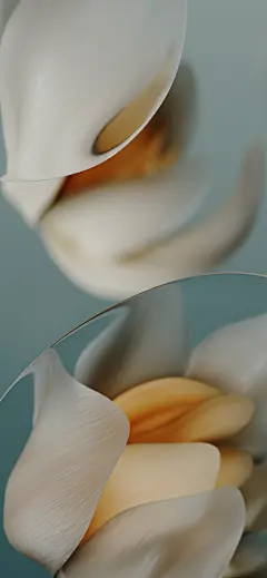 谷歌 Pixel 9a 内置壁纸6