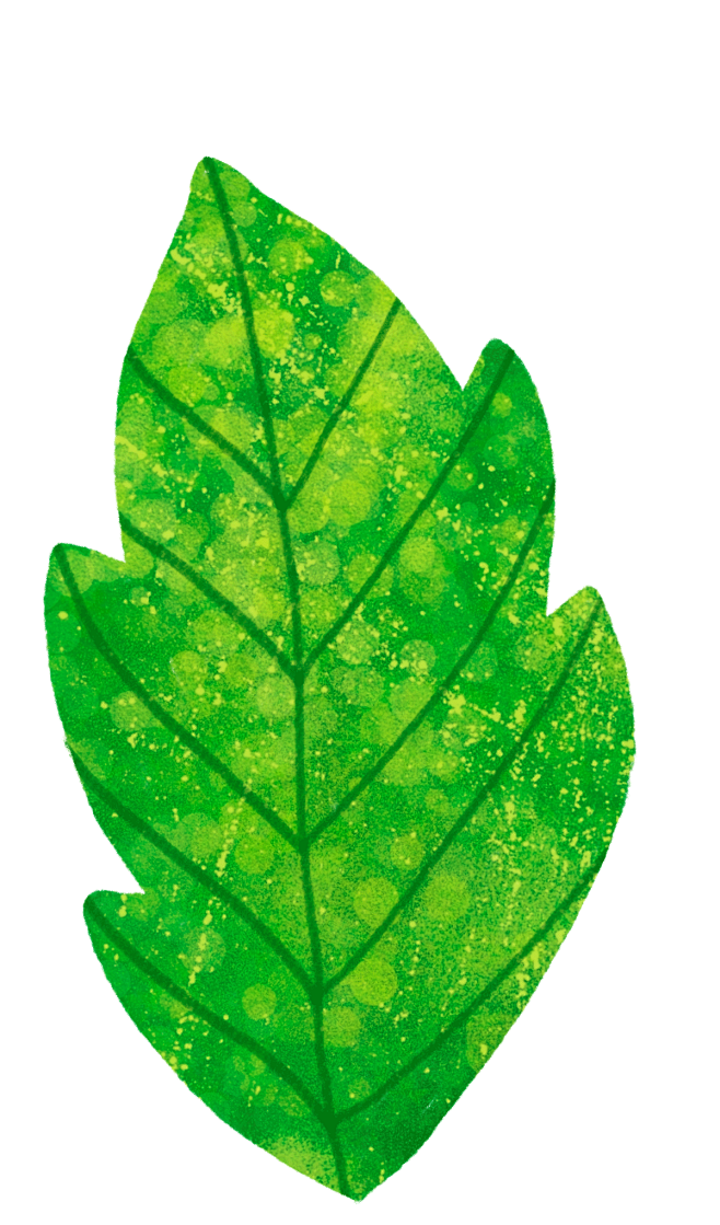 PNG高清免扣植物