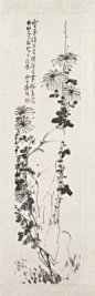 《菊花图》轴，近现代，陈师曾绘，纸本，设色，纵133.5cm，横32.6cm。
　　自题：“灵菊植幽崖，擢颖凌寒飙。春露不改色，秋霜不改条。师曾衡恪。”钤“陈衡恪”印。
　　图绘悬崖立壁，石缝中的几丛菊花俏然开放。陈师曾以大写意法画菊，一方面得吴昌硕浑厚之趣，另一方面博习古人，富潇洒之致。此图中山石的画法较菊花更富特色，用大笔粗略地勾勒出轮廓，形态几近抽象，显示出画家独具特色的艺术个性。