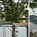 大雨之间 Between the Rain – 凤翔洲水文化公园，衢州 / 张唐景观 : 因水而生，因水而变
